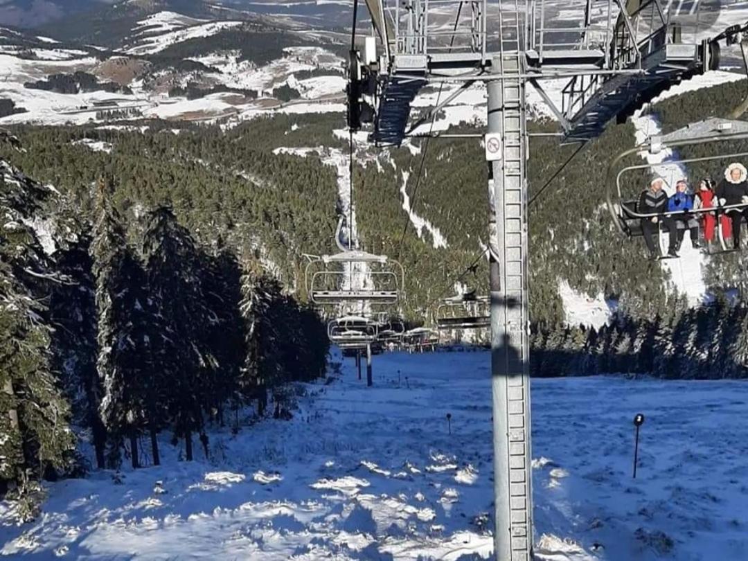 Koreni Zlatibor